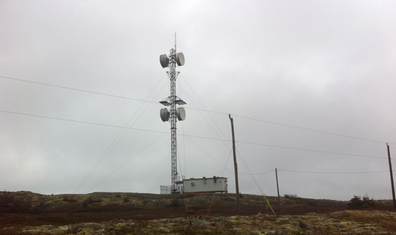 Hearts Content Image