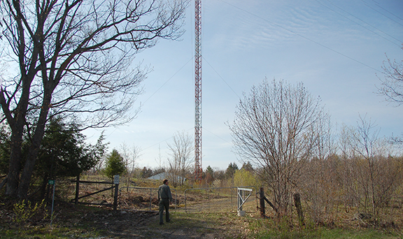 Loring Half New Gate