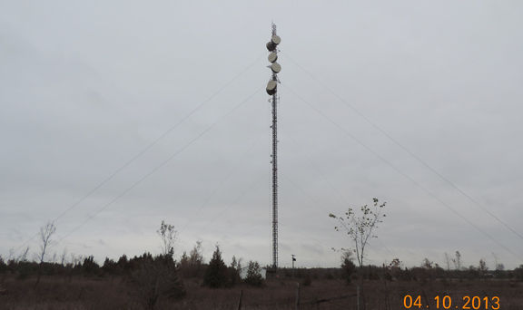 Talbot Tower Dishes Off